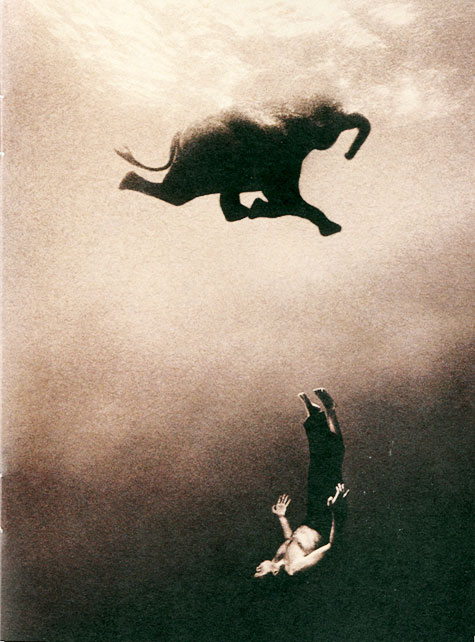 尘与雪 Ashes and Snow