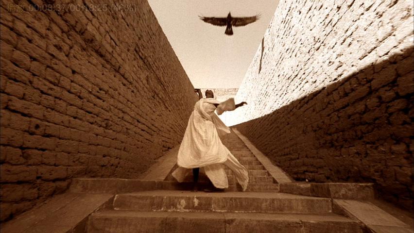 尘与雪 Ashes and Snow