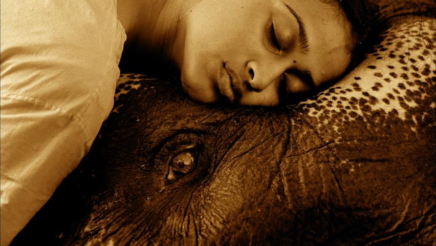 尘与雪 Ashes and Snow