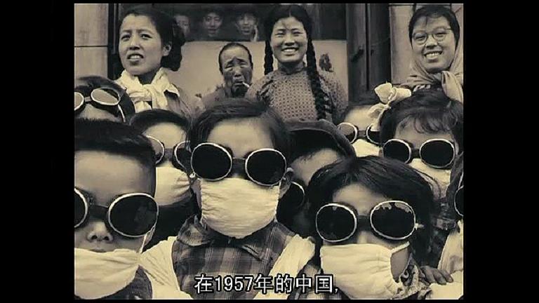 阿涅斯的海滩 Les plages d'Agnès