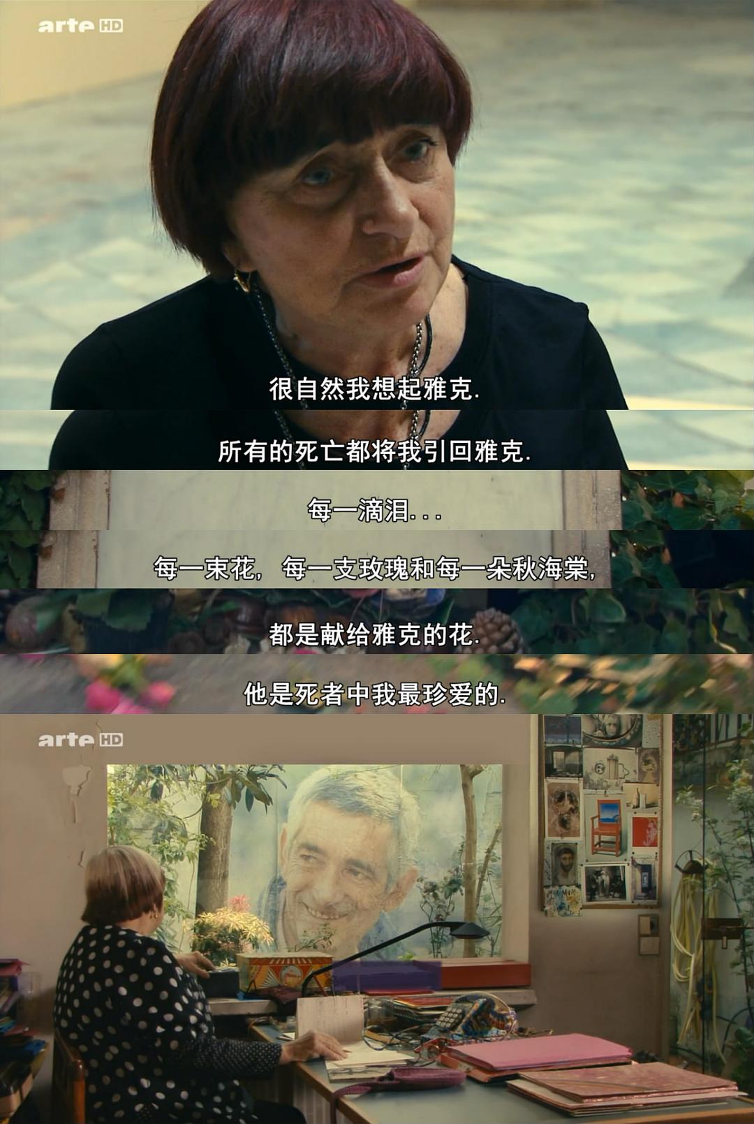 阿涅斯的海滩 Les plages d'Agnès