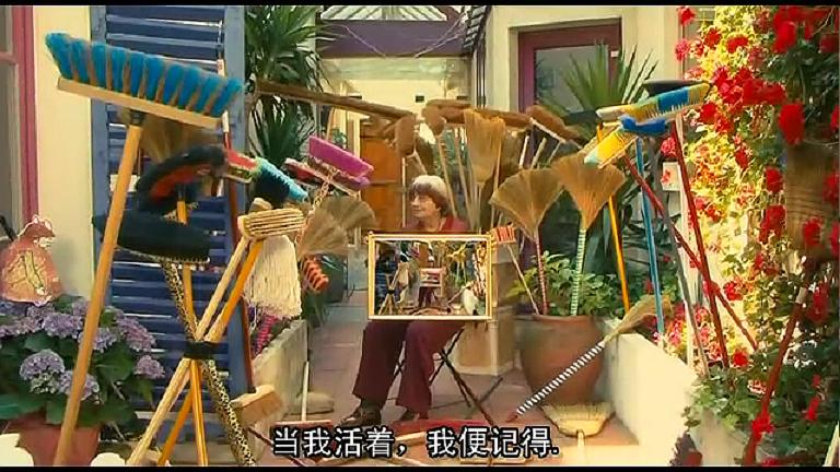 阿涅斯的海滩 Les plages d'Agnès