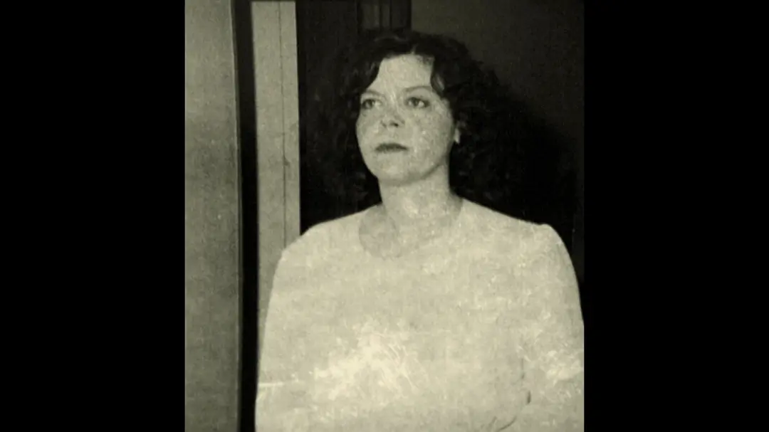 邪恶之人：美国最恶魔银行抢劫的真实故事 Evil Genius: The True Story of America's Most Diabolical Bank Heist