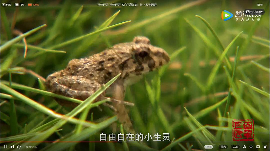 百年巨匠 美术篇第一部