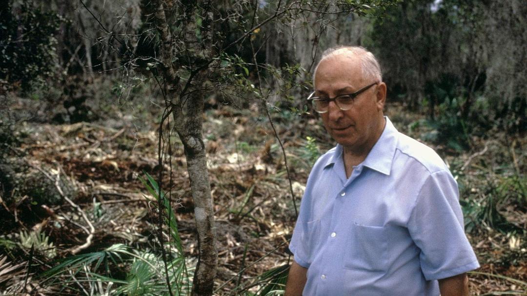 想象工程故事 The Imagineering Story