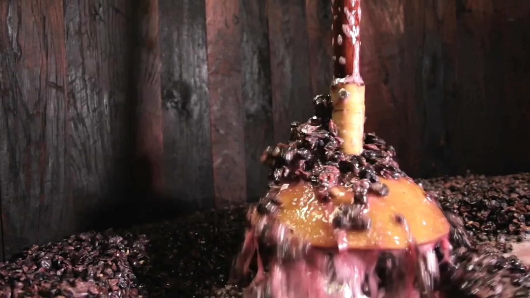 在勃艮第的一年 A Year in Burgundy