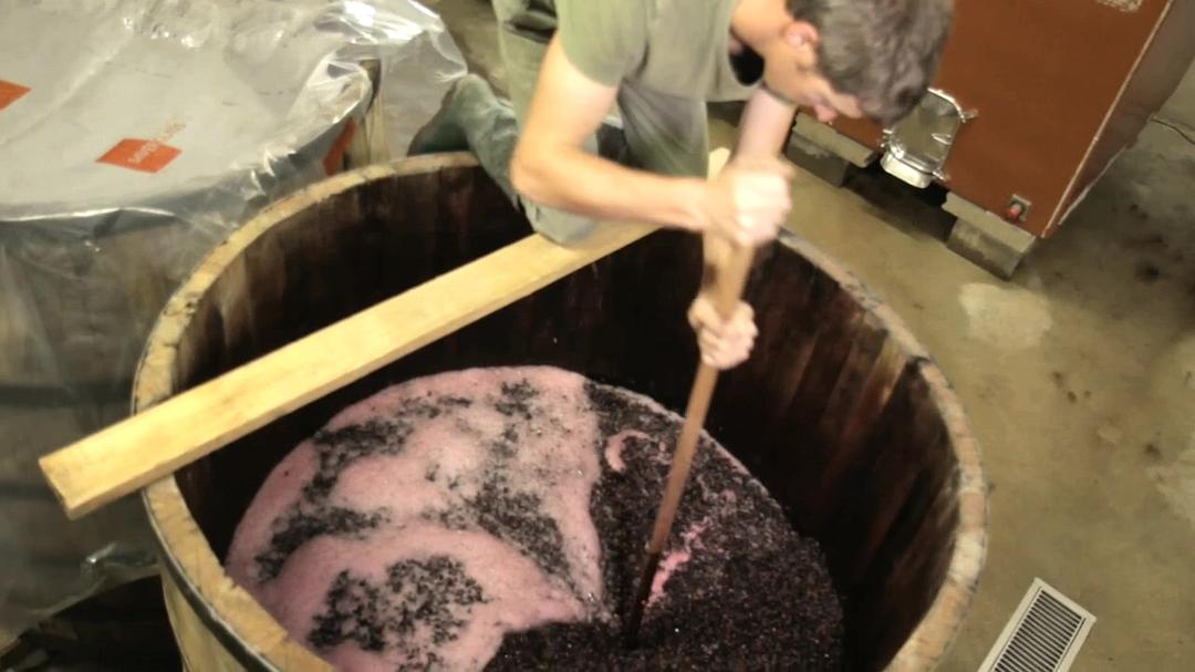 在勃艮第的一年 A Year in Burgundy