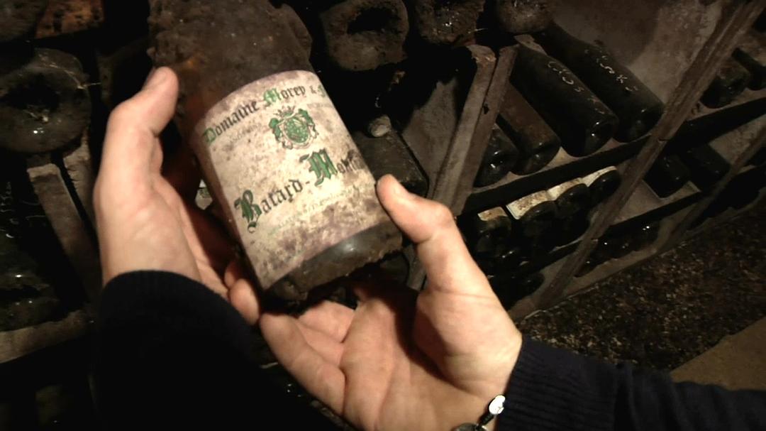 在勃艮第的一年 A Year in Burgundy