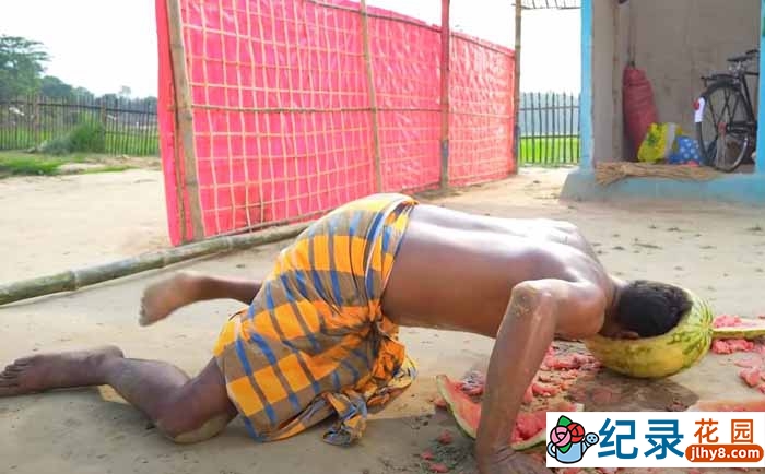 阿三爆笑真人秀《我家的2B兄弟》第2季原版无字 1080高清自媒体解说素材百度云盘下载