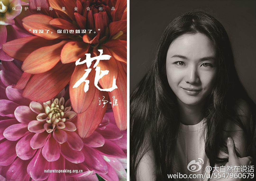 大自然在说话 Nature Is Speaking