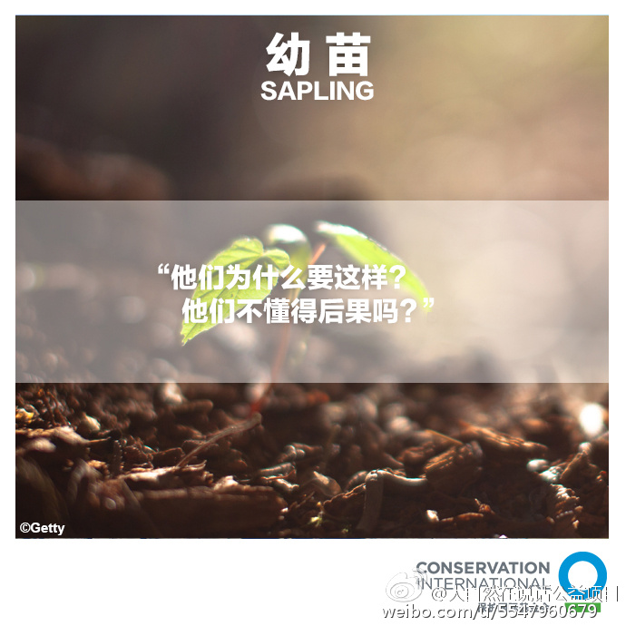 大自然在说话 Nature Is Speaking