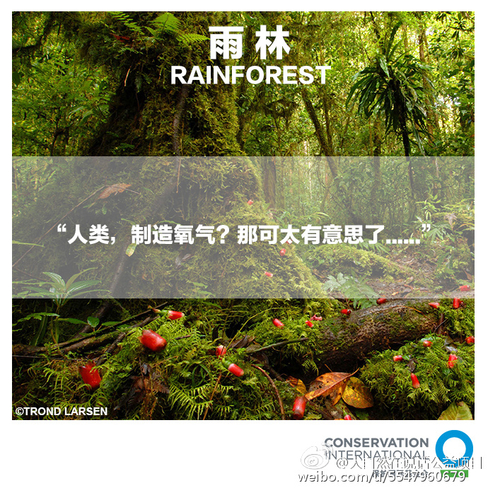 大自然在说话 Nature Is Speaking
