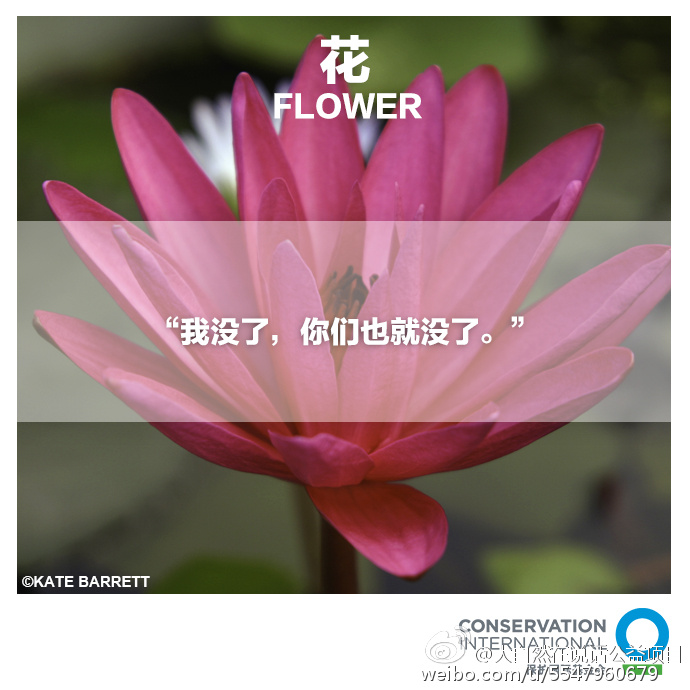 大自然在说话 Nature Is Speaking