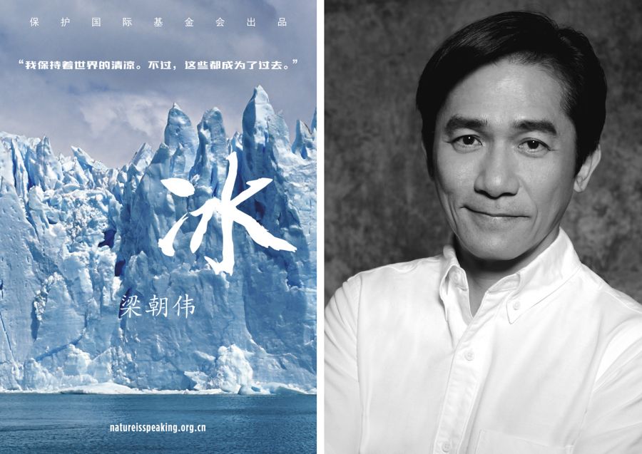 大自然在说话 Nature Is Speaking