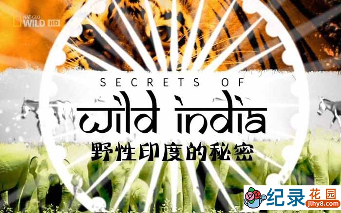 国家地理自然生态纪录片《野性印度的秘密 Secrets of Wild India 》全3集 720P/1080P高清纪录片百度云