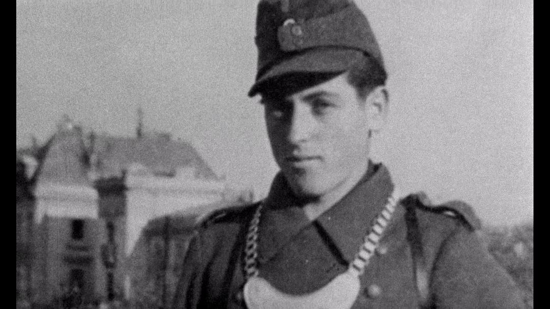 悲哀和怜悯 Le chagrin et la pitié