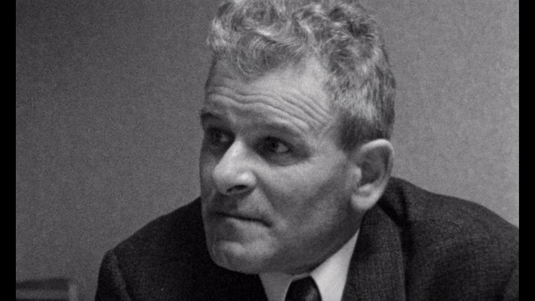 悲哀和怜悯 Le chagrin et la pitié