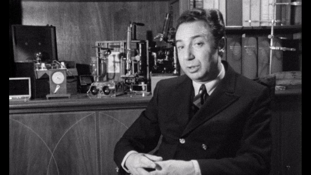 悲哀和怜悯 Le chagrin et la pitié