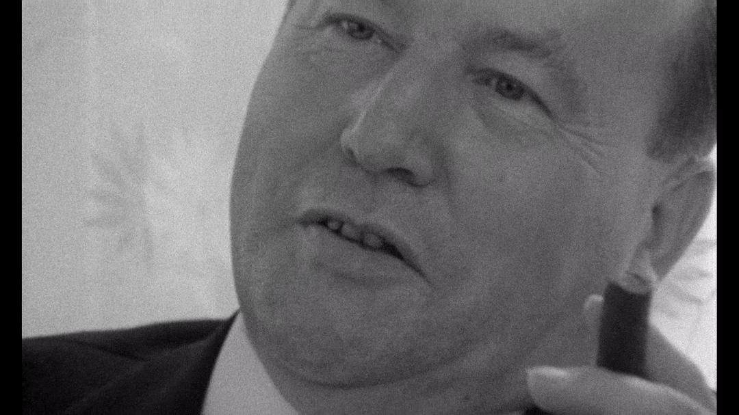 悲哀和怜悯 Le chagrin et la pitié