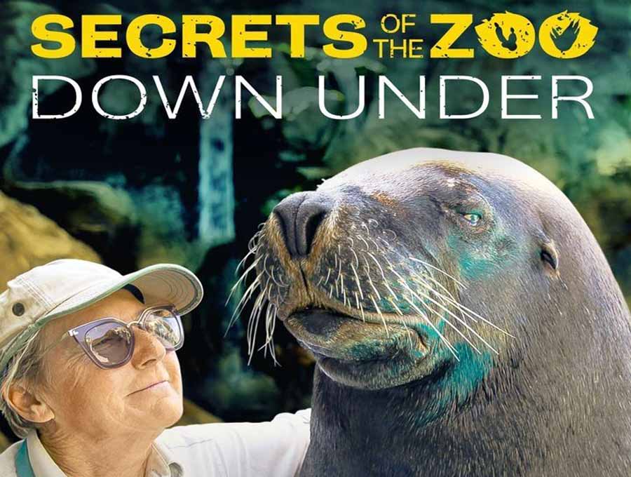 国家地理救治动物纪录片《动物园的秘密：地下世界 Secrets of the Zoo: Down Under》全10集中字 纪录片解说素材百度云盘下载 1080P/MP4/8.51G