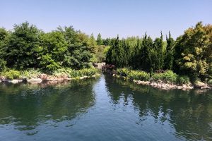 不为人知的迪士尼乐园 Undiscovered Walt Disney World