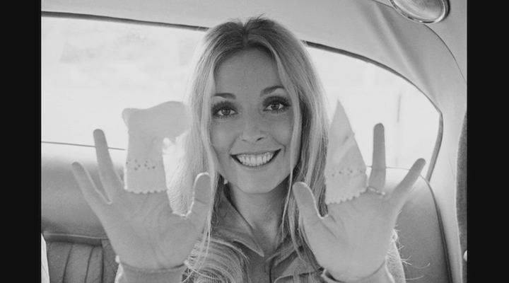 罗曼·波兰斯基：被通缉的与被渴望的 Roman Polanski: Wanted and Desired