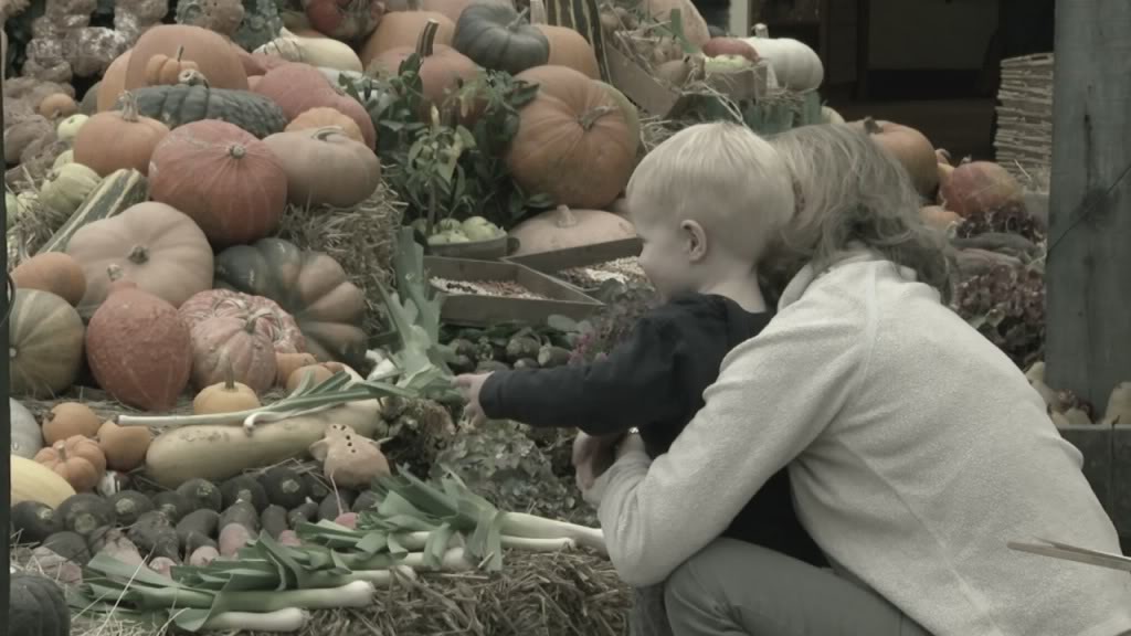 海利根失乐园 Heligan: Secrets of the Lost Gardens