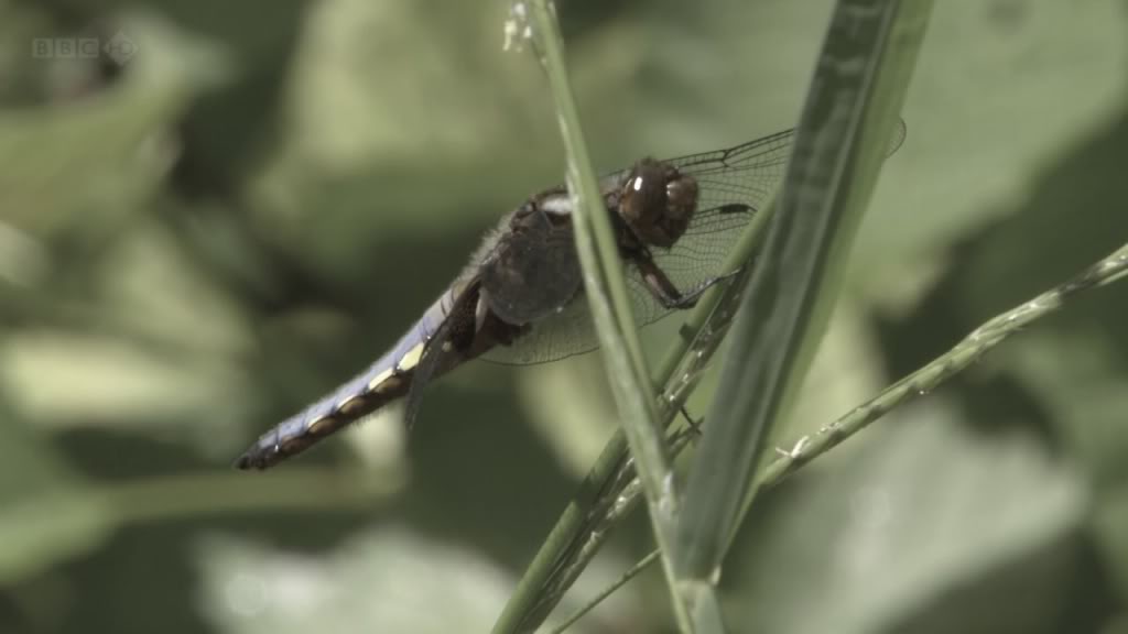 海利根失乐园 Heligan: Secrets of the Lost Gardens