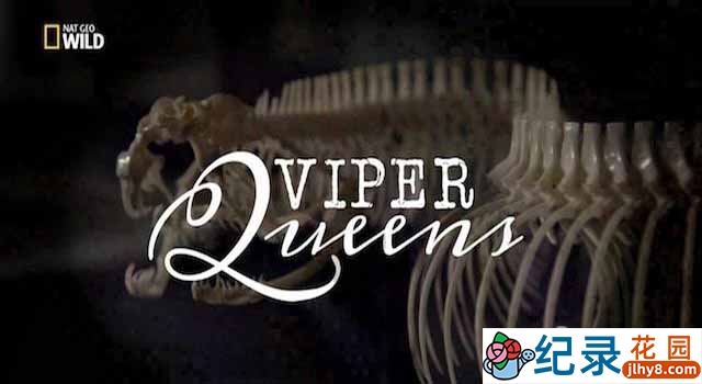 国家地理生命探索纪录片《毒蛇女王/毒蛇皇后 Viper Queens》全1集 720P/1080i高清纪录片百度云下载