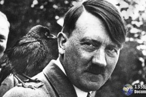 历史人物纪录片《希特勒：职业生涯 Hitler eine Karriere》全1集 720P/1080i高清纪录片百度云下载