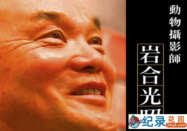 NHK人物传记纪录片《行家本色 动物摄影师岩合光昭》全1集 720P/1080i高清纪录片资源百度云盘下载