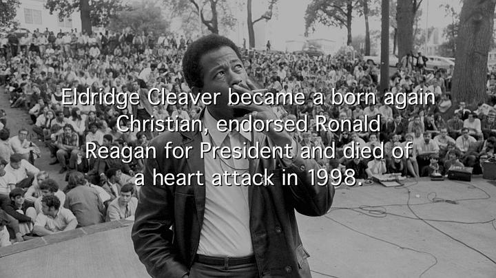 黑豹党：革命先锋 The Black Panthers: Vanguard of the Revolution