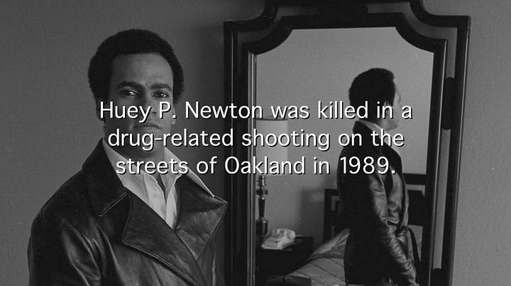 黑豹党：革命先锋 The Black Panthers: Vanguard of the Revolution