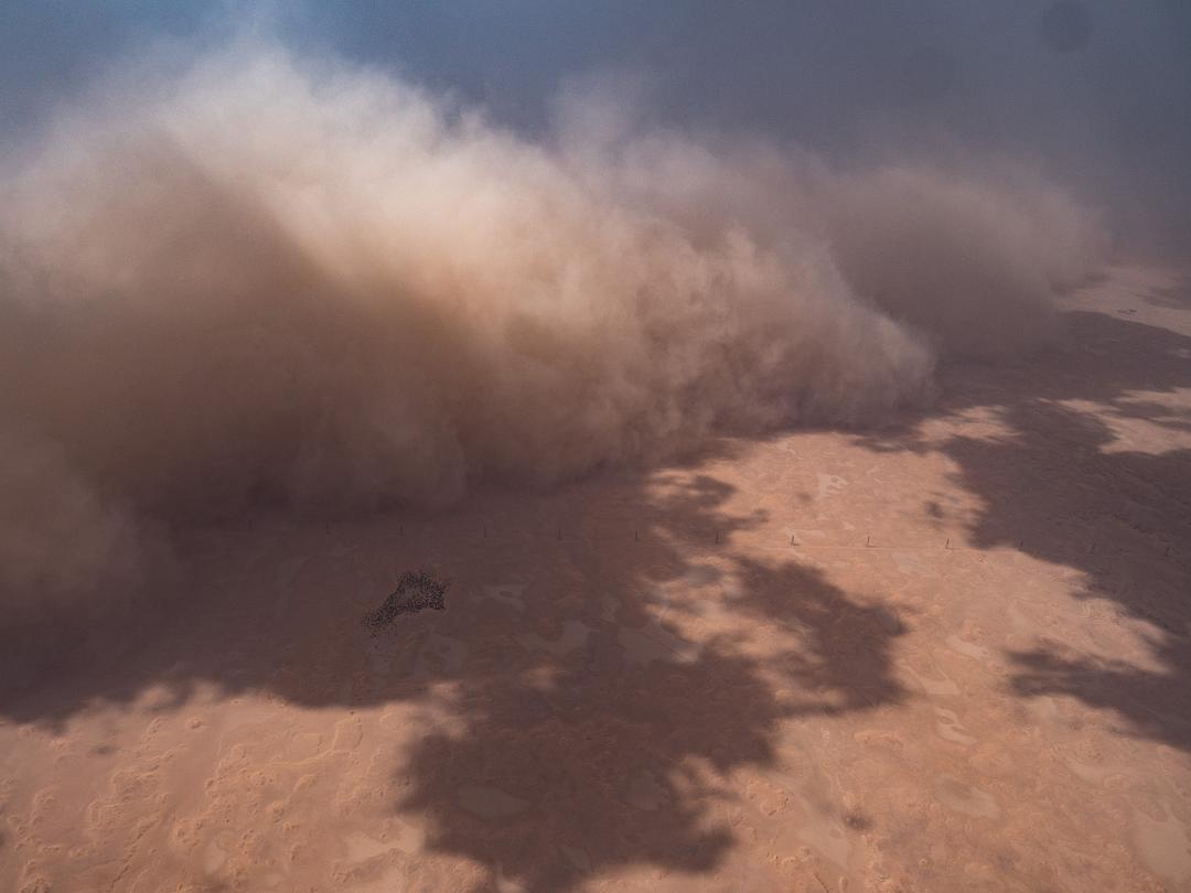 我们的侣行 第一季