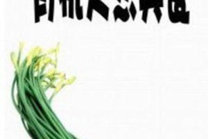 有机天然美食 Under the Sun