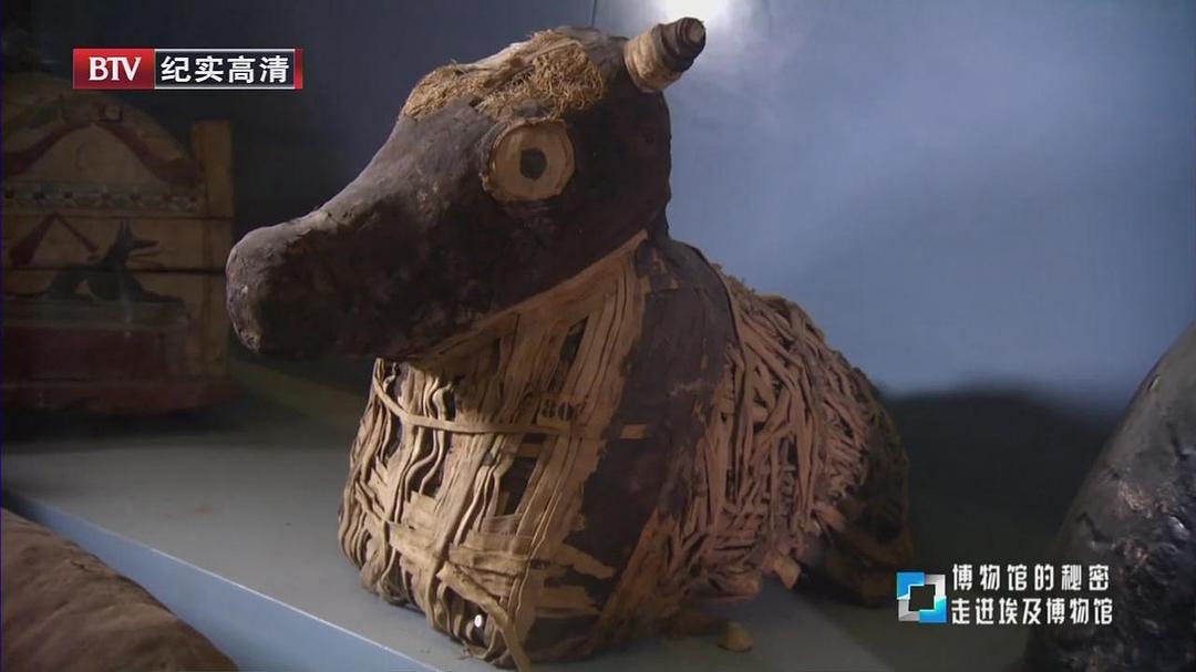 博物馆之谜 第一季 Museum Secrets Season 1