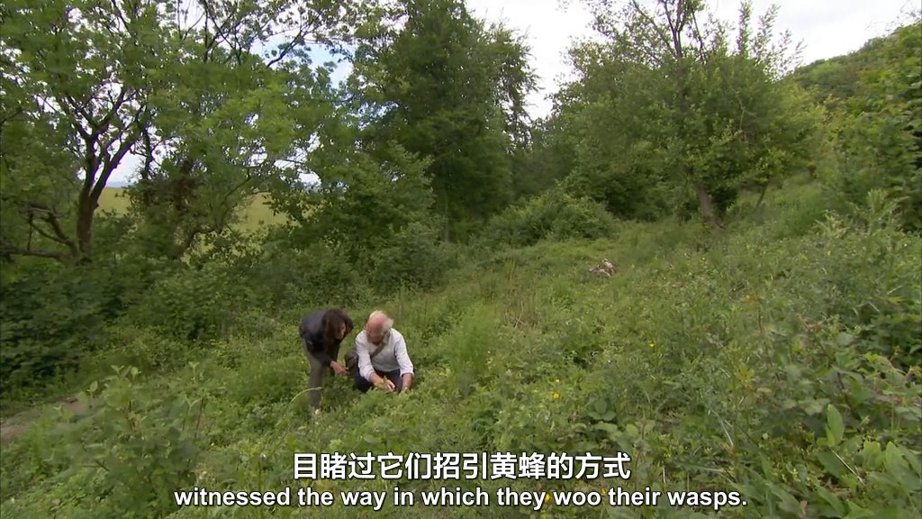 不为人知的英国 Secret Britain