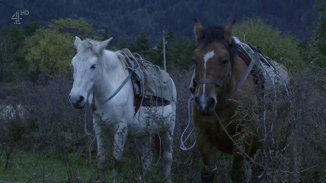 徒步喜马拉雅 Walking The Himalayas