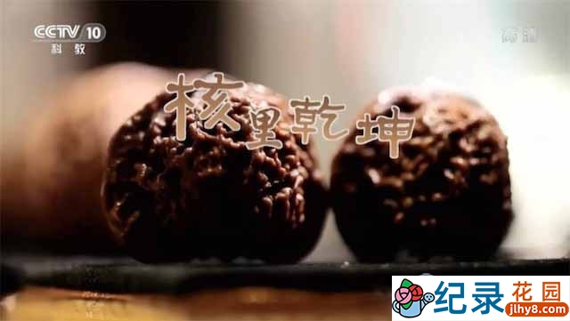 文玩纪录片《核里乾坤》全1集 720P/1080i高清纪录片资源百度云盘下载