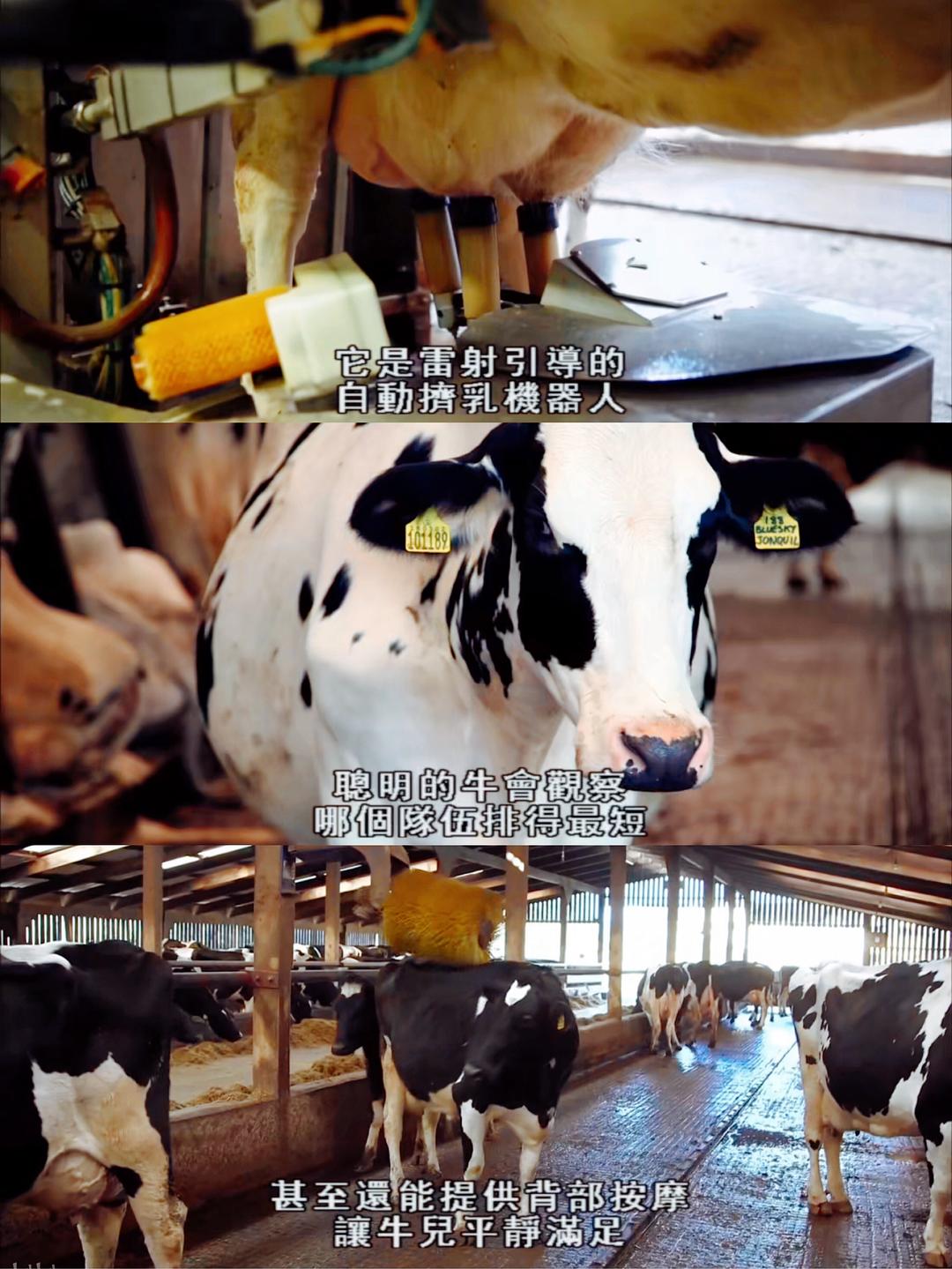 造物工厂 1-5季合集 Inside the Factory Season 1