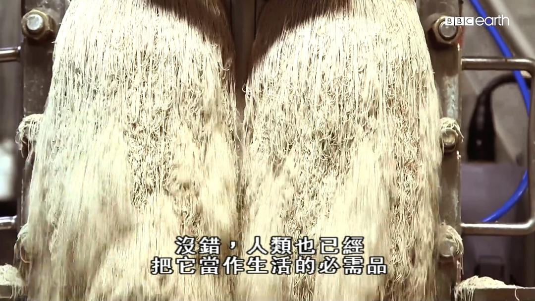 造物工厂 1-5季合集 Inside the Factory Season 1