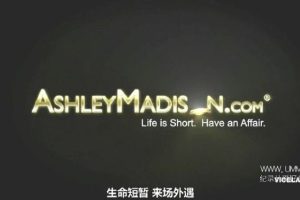网络战  攻击偷情网站 Cyberwar: Ashley Madison Hack