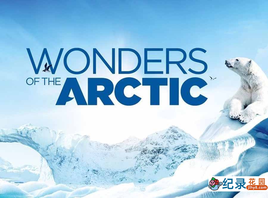 极地自然生态纪录片《北极奇观 Wonders of the Arctic》全1集原版无字 纪录片资源百度云盘下载 1080/MKV/6.34G