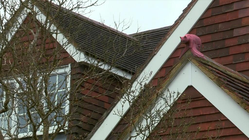 地平线系列：小猫日记 Horizon: Little Cat Diaries