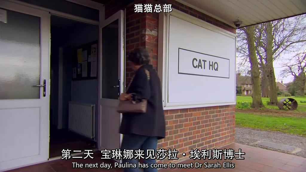 地平线系列：小猫日记 Horizon: Little Cat Diaries