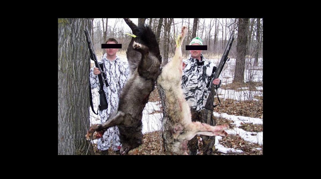 狼医学 Medicine of the Wolf