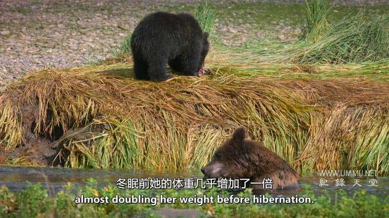 阿拉斯加之夏 Alaskan Summer