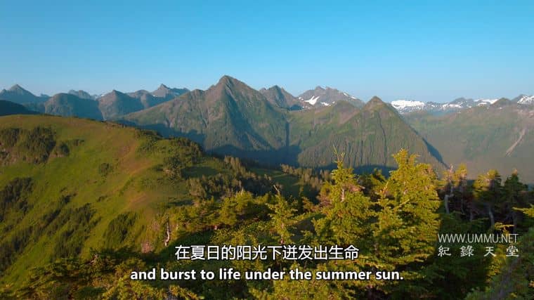 阿拉斯加之夏 Alaskan Summer