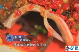 央视美食纪录片《鱼米之乡：火辣辣的湘菜》全7集中字 纪录片资源百度云盘下载 标清/MP4/3.13G