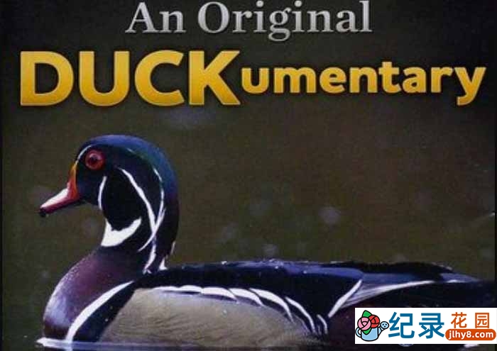 PBS自然生态纪录片《鸭鸭世界/鸭之物语 An Original DUCKumentary》全1集 720P/1080i高清纪录片百度云